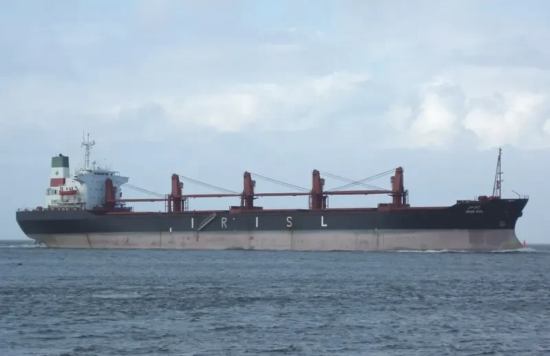 KRUTIKA Bulk Carrier IMO 8108559