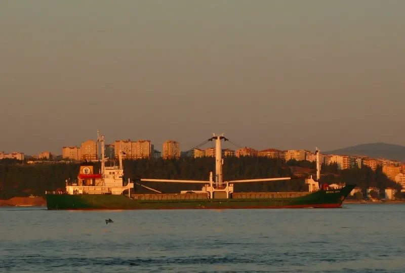 ARSLAN General Cargo IMO 8109096 photo 6