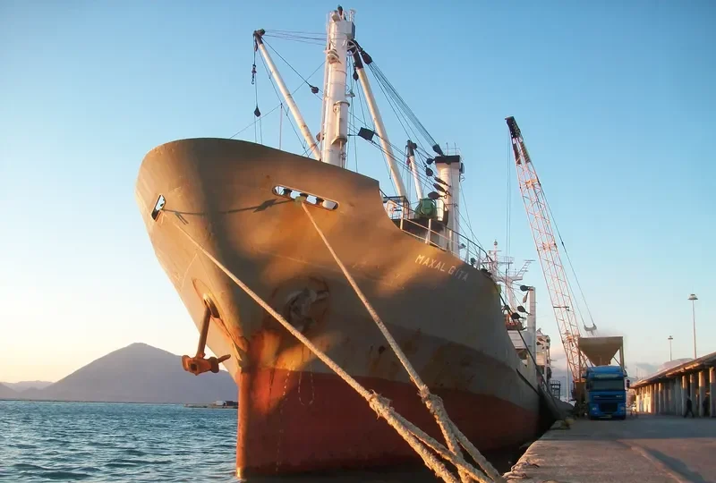 ARSLAN General Cargo IMO 8109096 photo 10