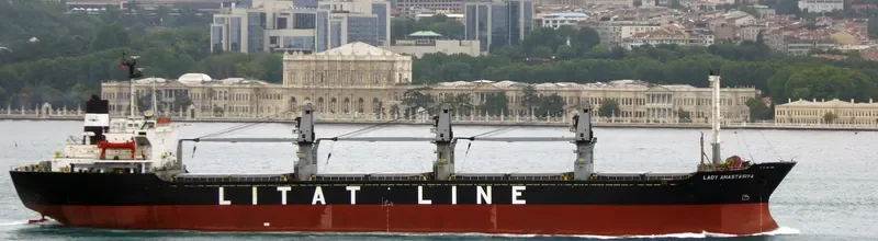LADY ANA Bulk Carrier IMO 8109917