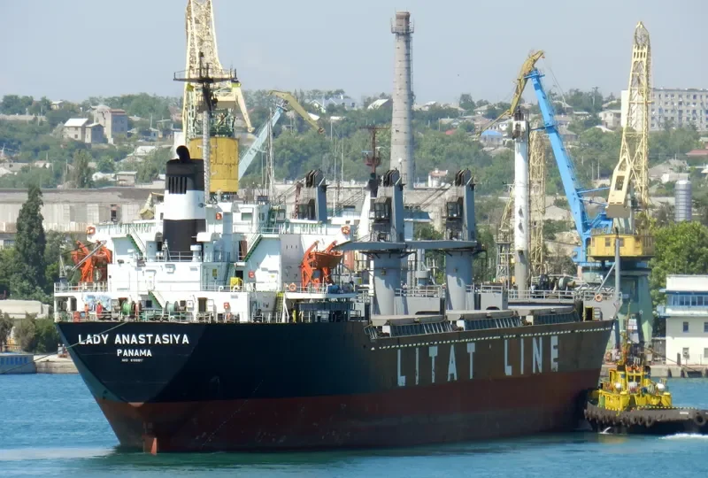 LADY ANA Bulk Carrier IMO 8109917 photo 5
