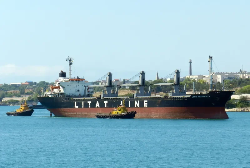 LADY ANA Bulk Carrier IMO 8109917 photo 6