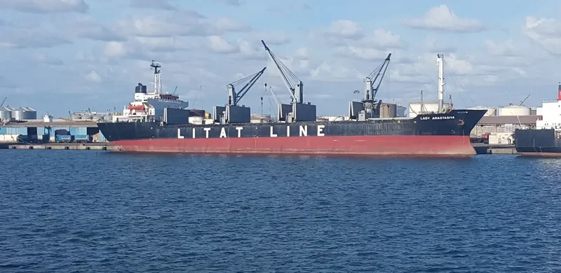LADY ANA Bulk Carrier IMO 8109917 photo 8