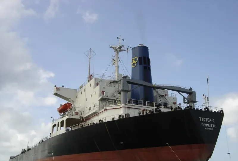 JEWEL I Bulk Carrier IMO 8110679