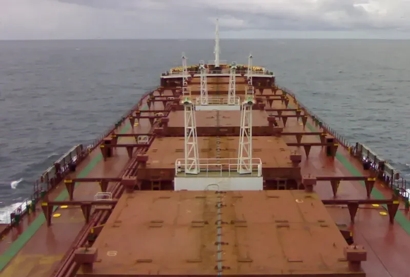 JEWEL I Bulk Carrier IMO 8110679 photo 2