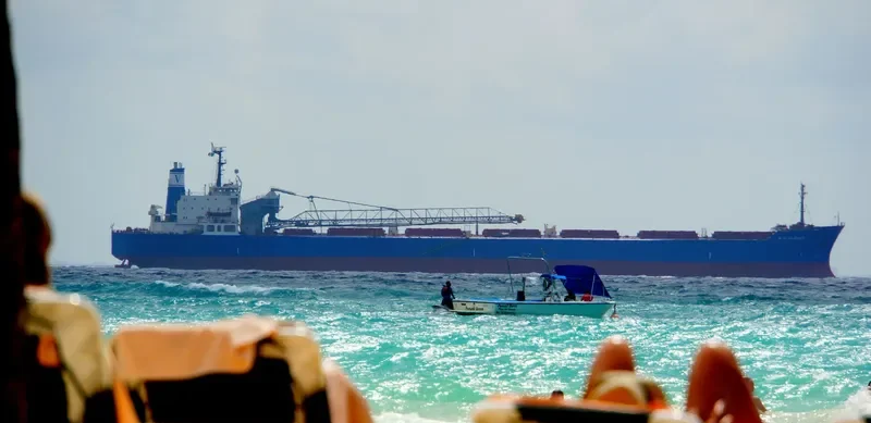 BONTRUP AMSTERDAM Bulk Carrier IMO 8110681