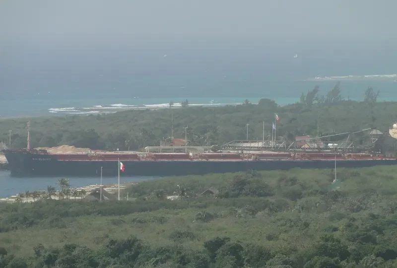 BONTRUP AMSTERDAM Bulk Carrier IMO 8110681 photo 5