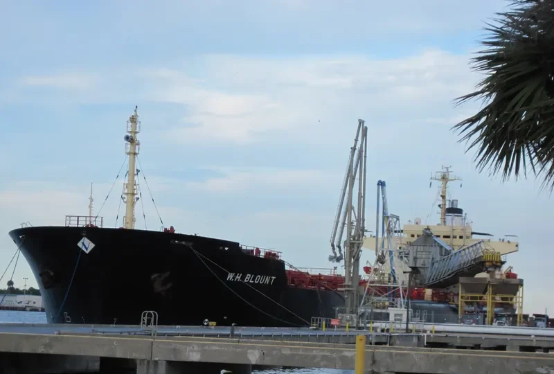 BONTRUP AMSTERDAM Bulk Carrier IMO 8110681 photo 8