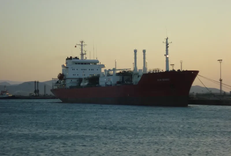 NEW BRIDGE General Cargo IMO 8111867