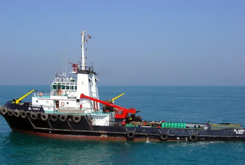AL WAFI General Cargo IMO 8112251