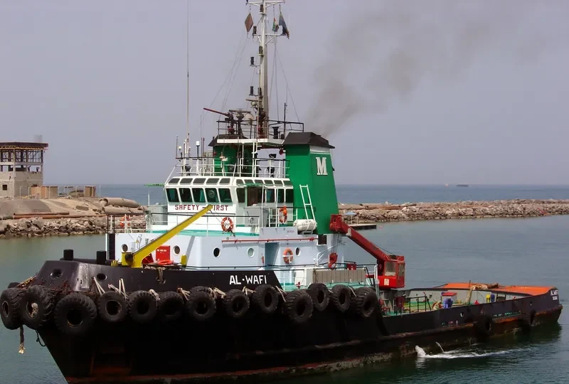 AL WAFI General Cargo IMO 8112251 photo 3
