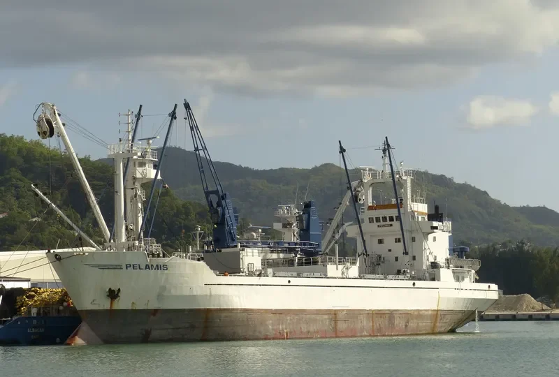 PEARL COAST General Cargo IMO 8112380