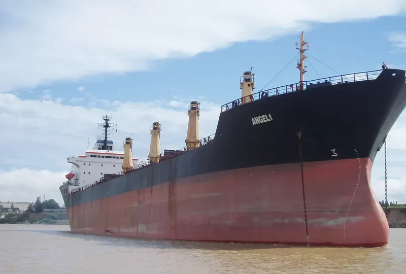 ANGEL 1 Bulk Carrier IMO 8112964 photo 2
