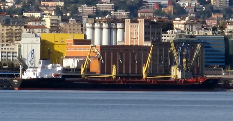 ANGEL 1 Bulk Carrier IMO 8112964 photo 3