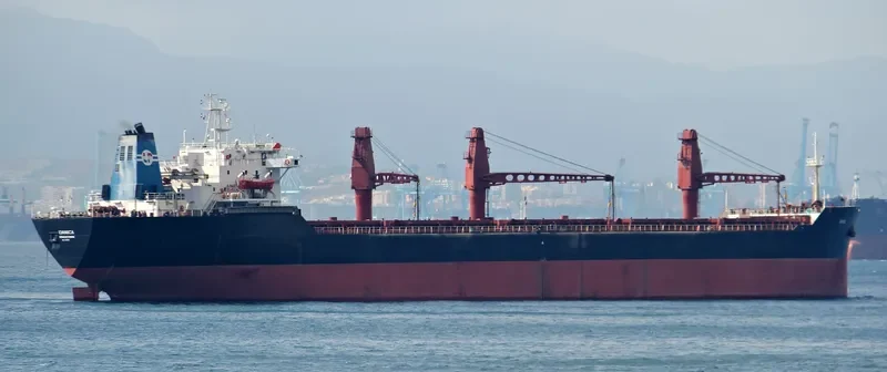 DANICA Bulk Carrier IMO 8113372