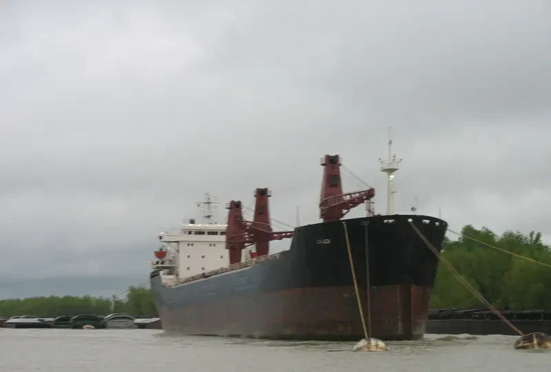 DANICA Bulk Carrier IMO 8113372 photo 2