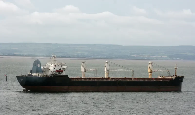 DANICA Bulk Carrier IMO 8113372 photo 3