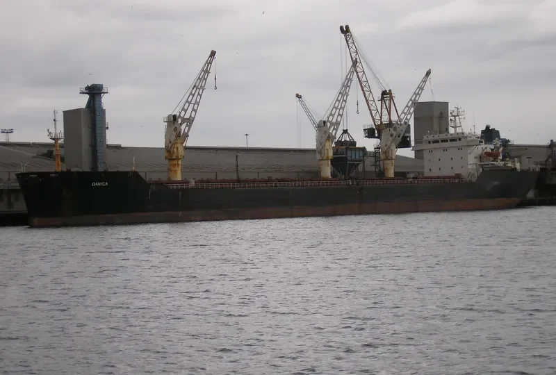 DANICA Bulk Carrier IMO 8113372 photo 4