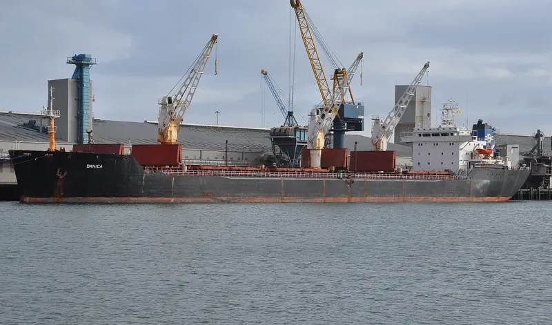 DANICA Bulk Carrier IMO 8113372 photo 5
