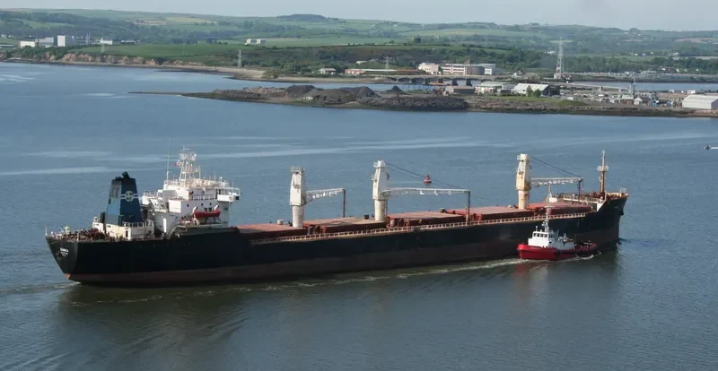 DANICA Bulk Carrier IMO 8113372 photo 6