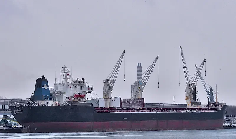 DANICA Bulk Carrier IMO 8113372 photo 7