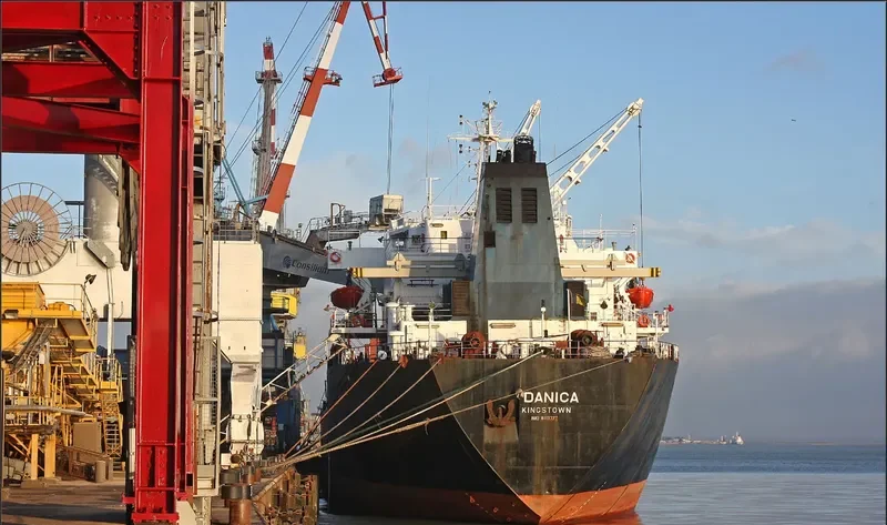 DANICA Bulk Carrier IMO 8113372 photo 9