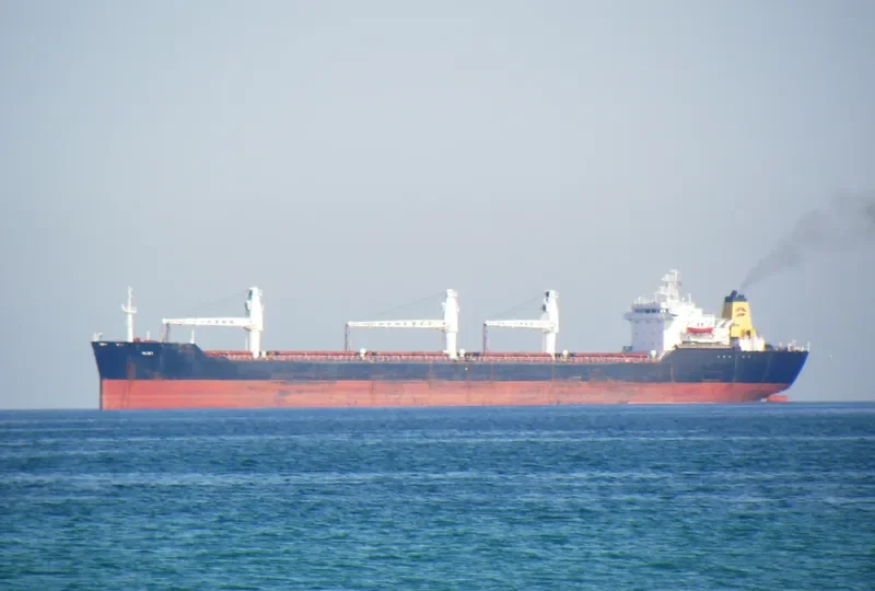 DANICA Bulk Carrier IMO 8113372 photo 10