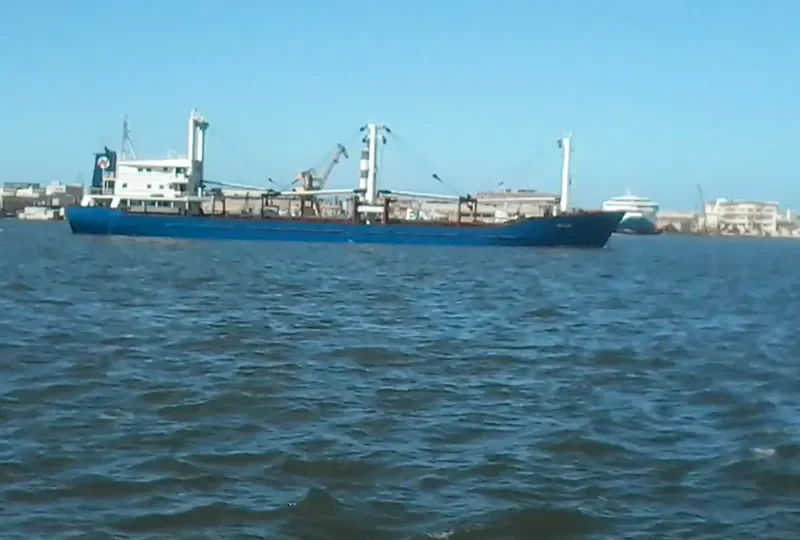 NATALIA General Cargo IMO 8113592