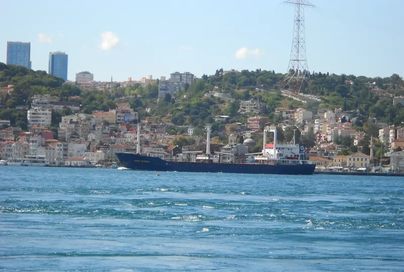 NATALIA General Cargo IMO 8113592 photo 10