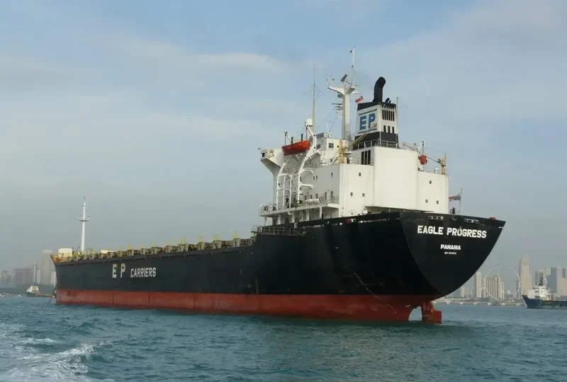 EAGLE PROGRESS Container Ship IMO 8113853