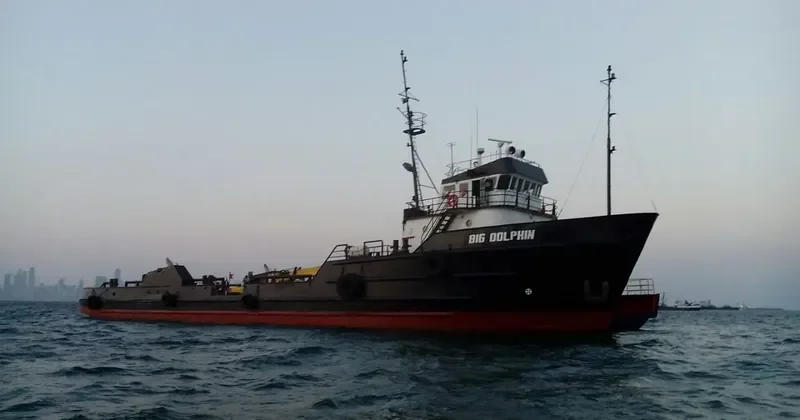 BIG DOLPHIN Offshore Vessel IMO 8115813