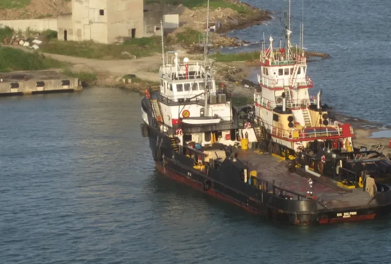 BIG DOLPHIN Offshore Vessel IMO 8115813 photo 2