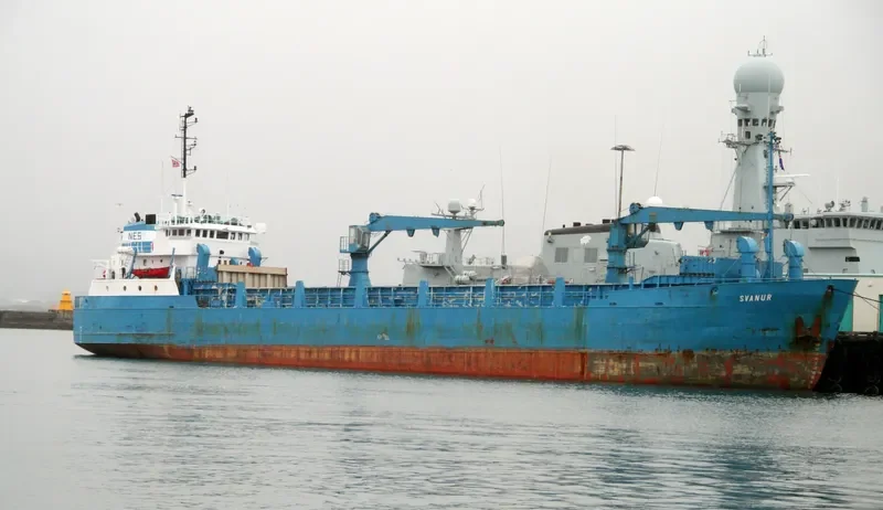 LINDEN General Cargo IMO 8116166 photo 2