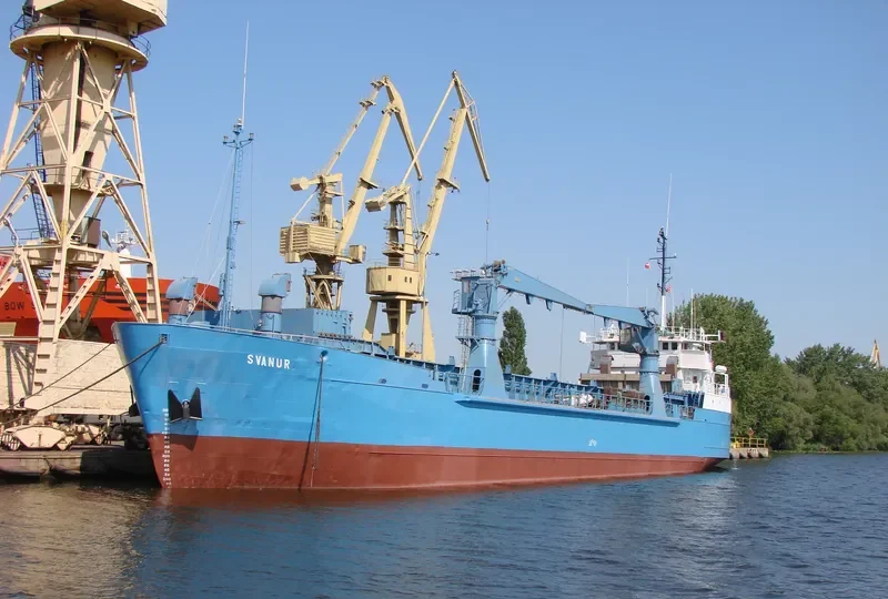 LINDEN General Cargo IMO 8116166 photo 6