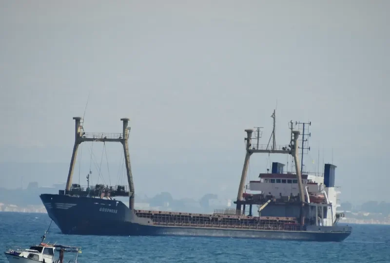 TALI General Cargo IMO 8116180 photo 4