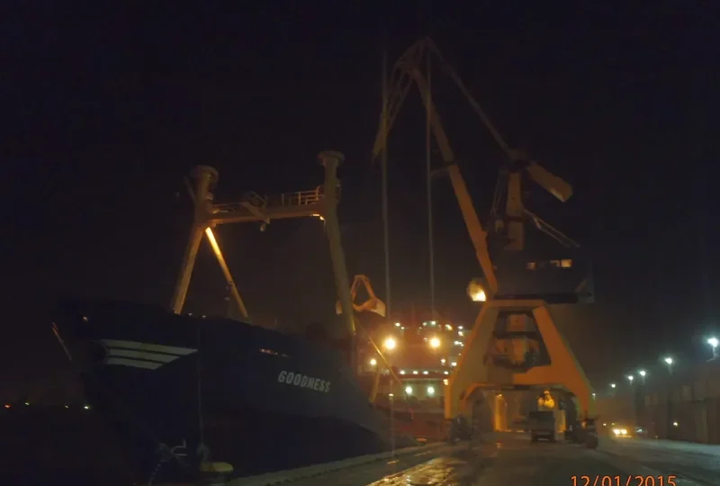 TALI General Cargo IMO 8116180 photo 5