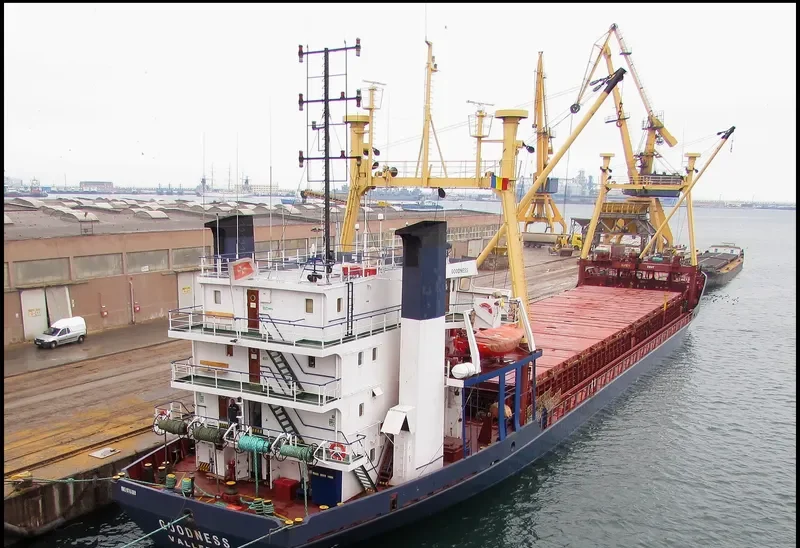 TALI General Cargo IMO 8116180 photo 6