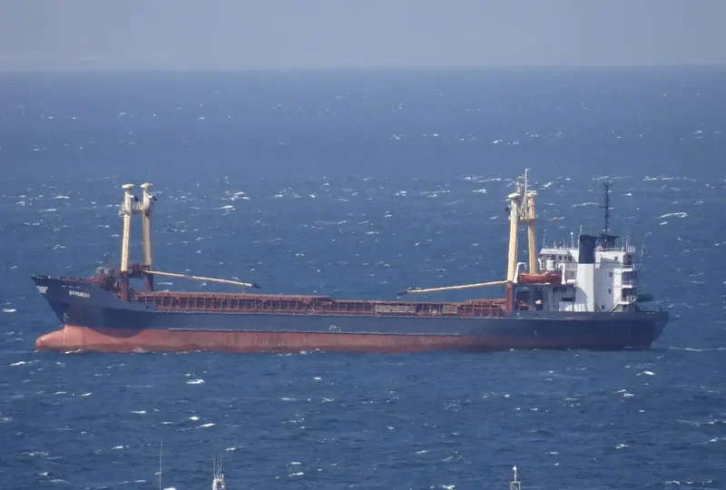 TALI General Cargo IMO 8116180 photo 7