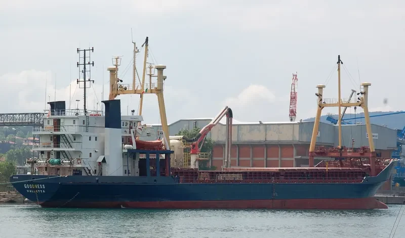 TALI General Cargo IMO 8116180 photo 8