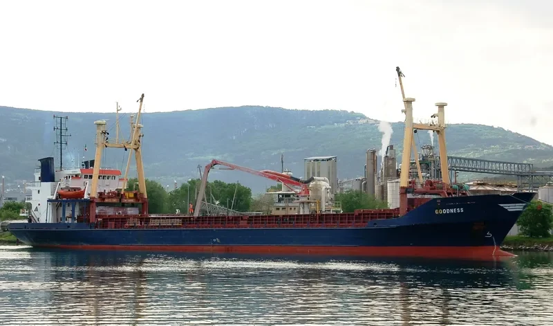 TALI General Cargo IMO 8116180 photo 9