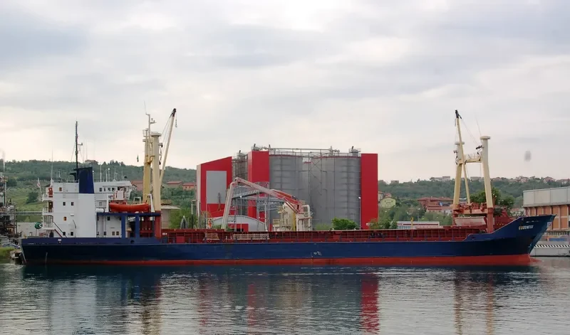 TALI General Cargo IMO 8116180 photo 10