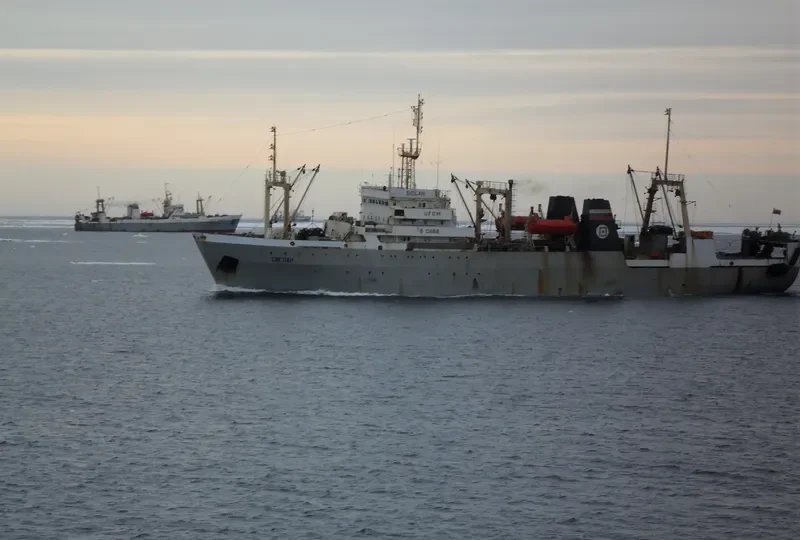 SIGLAN General Cargo IMO 8116312 photo 6