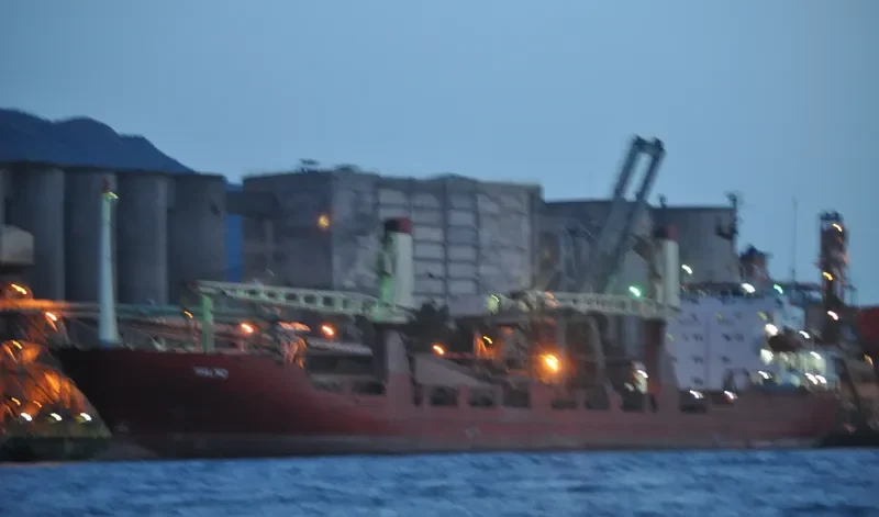 MALMO General Cargo IMO 8116738 photo 2