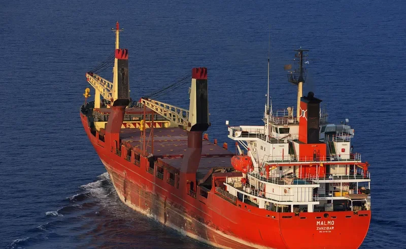 MALMO General Cargo IMO 8116738 photo 3