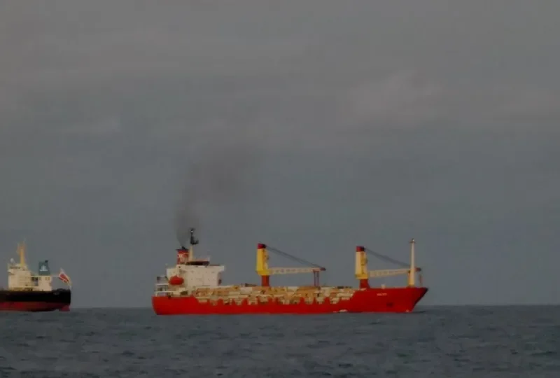 MALMO General Cargo IMO 8116738 photo 5