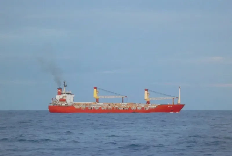 MALMO General Cargo IMO 8116738 photo 6