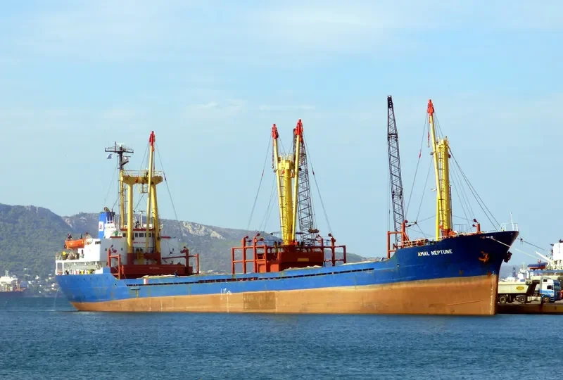 AMAL NEPTUNE General Cargo IMO 8116843 photo 3