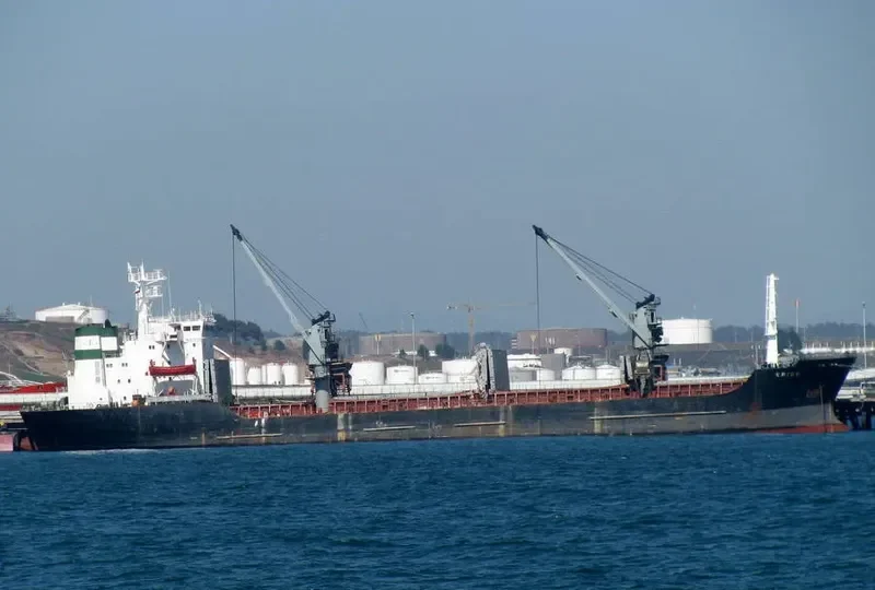 REI General Cargo IMO 8116996