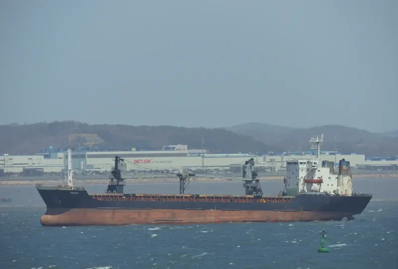REI General Cargo IMO 8116996 photo 2