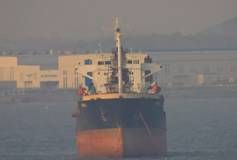 REI General Cargo IMO 8116996 photo 3